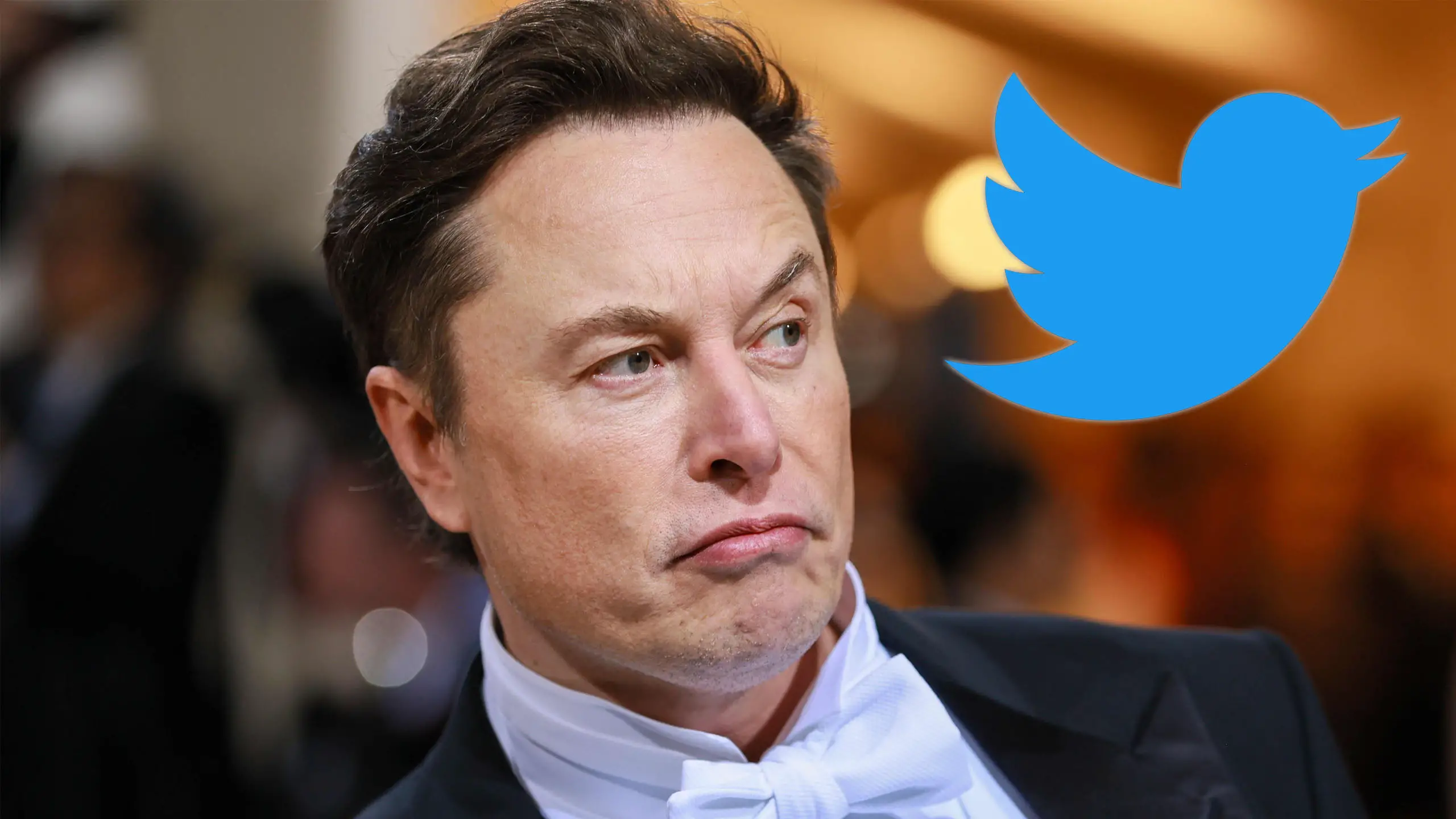 Twitter dropped in revenue due to activist groups pressuring advertisers, says new owner Elon Musk